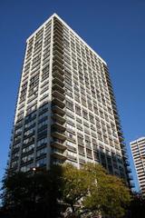 88 W Schiller St. #2108L, Chicago, IL 60610