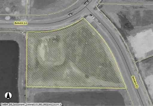 33 Autumn Ct., Lily Lake, IL 60151