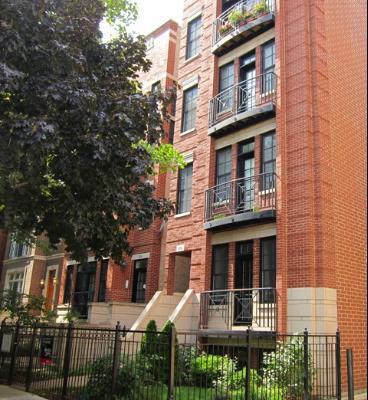 814 W Buckingham Ave. #1, Chicago, IL 60657