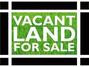 3035 S Lyman St., Chicago, IL 60608