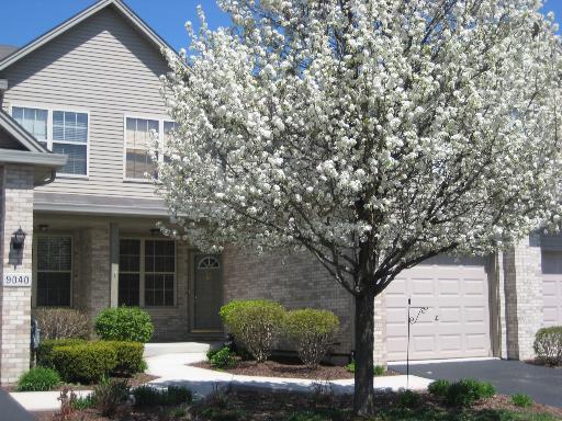 9038 Mansfield Dr., Tinley Park, IL 60487