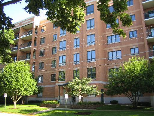1636 Ashland Ave. #404, Des Plaines, IL 60016