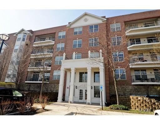 3100 Town Square Dr. #103, Rolling Meadows, IL 60008