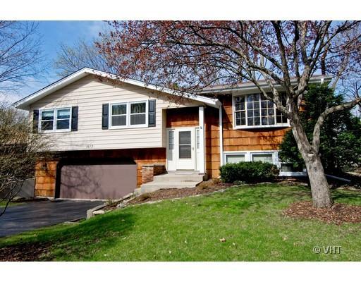 1613 Swallow, Naperville, IL 60565