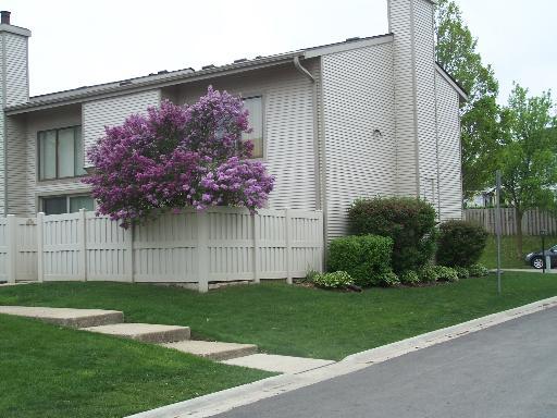 547 Verde Dr., Schaumburg, IL 60173