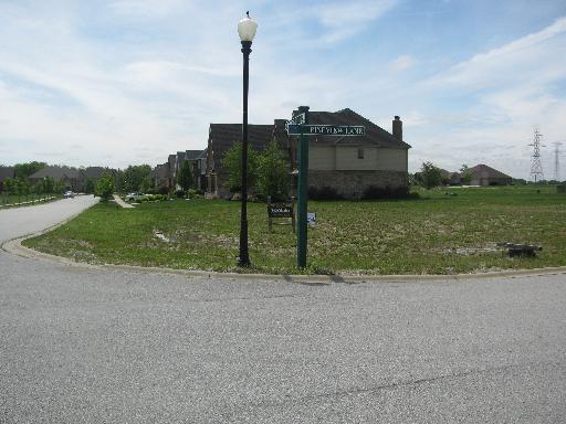 22616 Lilly Pad Ln., Frankfort, IL 60423