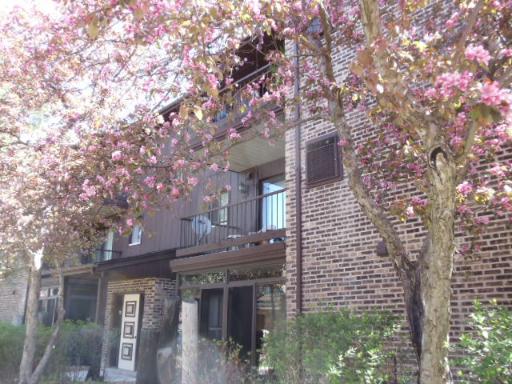 64 W Pier Dr. #301, Westmont, IL 60559