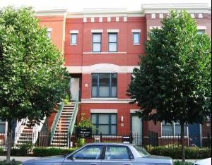 1316 W Fillmore Ave. #B, Chicago, IL 60607