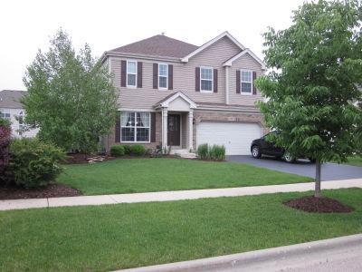 10923 Wheatlands Way, Huntley, IL 60142