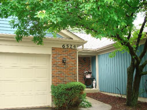 6524 Barclay Ct., Downers Grove, IL 60516