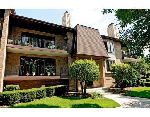 9190 Del Prado Dr. #2N, Palos Hills, IL 60465