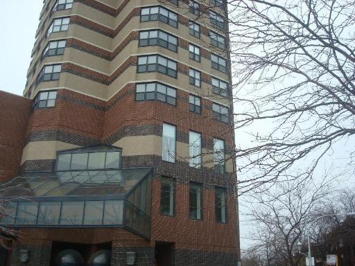 3660 N Lake Shore Dr. #4606, Chicago, IL 60613