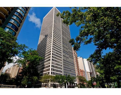 1100 N Lake Shore Dr. #21C, Chicago, IL 60611