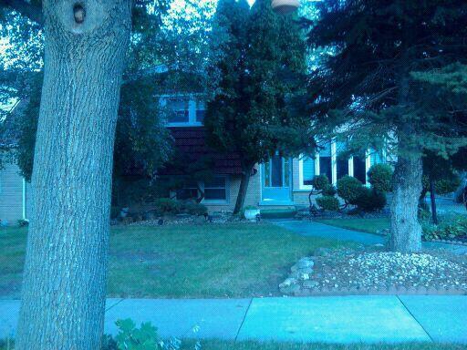 2101 High St., Berkeley, IL 60163