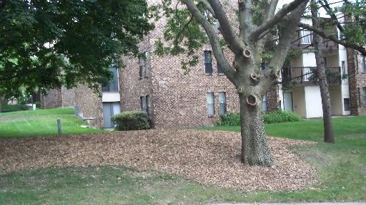 2037 Country Club Dr. #2C, Woodridge, IL 60517