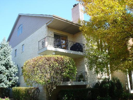 9088 Del Prado Dr. #2W, Palos Hills, IL 60465