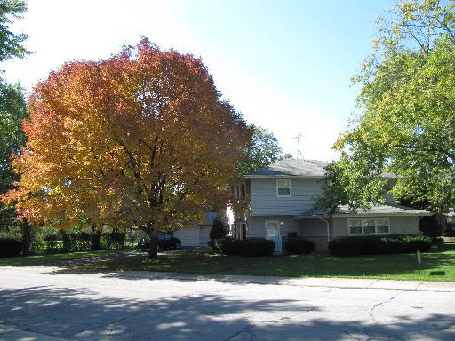 127 Nashua St., Park Forest, IL 60466
