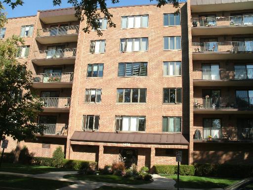 1454 Ashland Ave. #303, Des Plaines, IL 60016