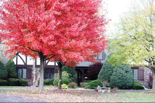 3 Yale Ct., Hawthorn Woods, IL 60047