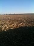 0000 N 2350 Rd., Seneca, IL 61360
