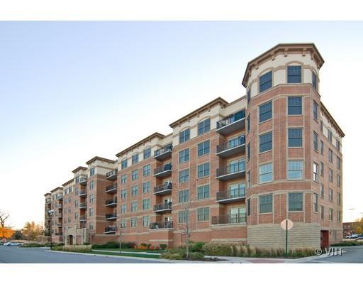 9530 S Cook Ave. #412, Oak Lawn, IL 60453