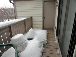 4225 N Mallard Dr. #2, Arlington Heights, IL 60004