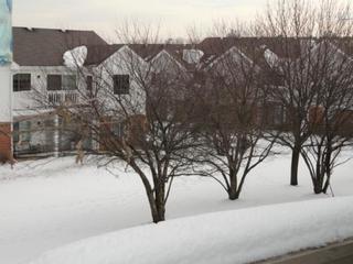 4225 N Mallard Dr. #2, Arlington Heights, IL 60004