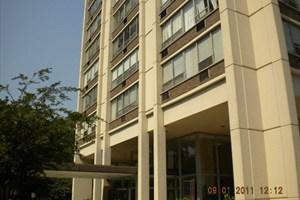 70 W Burton St. #408F, Chicago, IL 60610