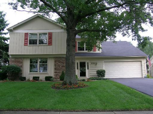 928 Royal Blackheath Ct., Naperville, IL 60563