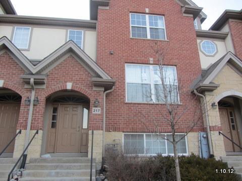 217 Riverfront Dr., Mount Prospect, IL 60056