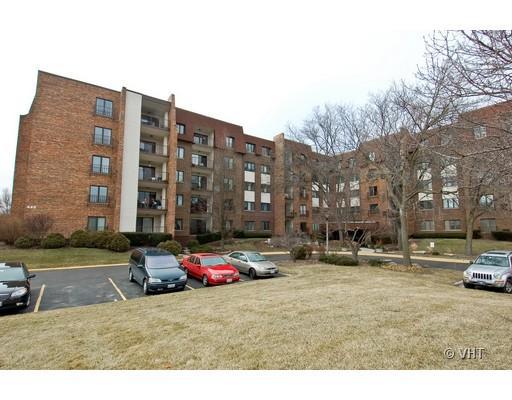 448 Raintree Ct. #1N, Glen Ellyn, IL 60137