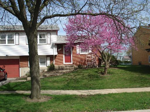 [Address Hidden by Seller], Country Club Hills, IL 60478