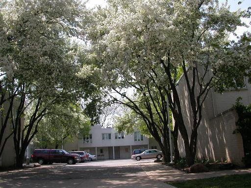 1125 S Park Ter., Chicago, IL 60605