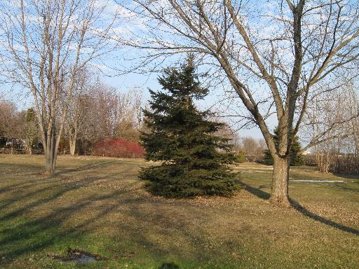 Lot 1 N 6th St., Malta, IL 60150