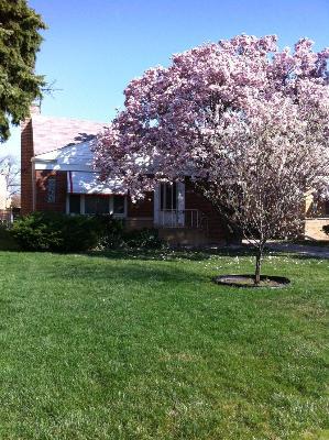 7408 W Winnemac Ave., Harwood Heights, IL 60706