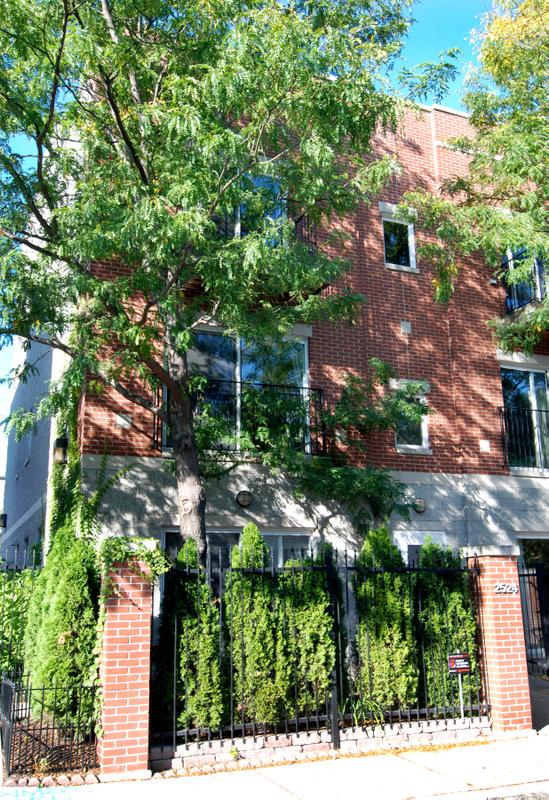 2524 W Bloomingdale Ave. #A, Chicago, IL 60647