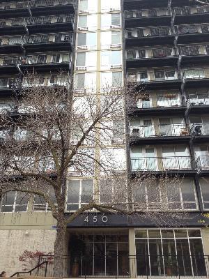 450 W Briar Pl. #8A, Chicago, IL 60657