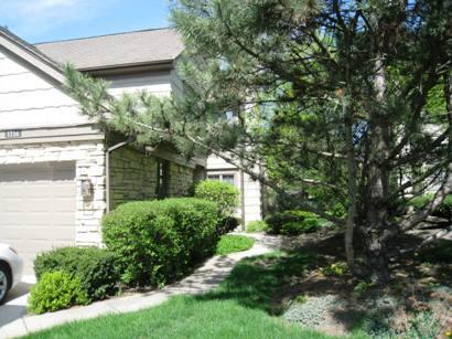 1116 Lodgepole Ct., Darien, IL 60561
