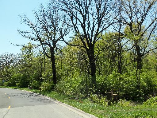 LOT#10 Oak Grove Ct., Morris, IL 60450