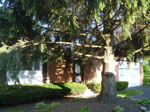 4 Falmouth On Oxford, Rolling Meadows, IL 60008