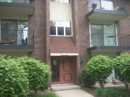 5S066 Pebblewood Ln. #B2, Naperville, IL 60563