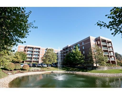 5225 N Riversedge Ter. #312, Chicago, IL 60630