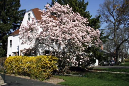 138 Woodland Ave., Winnetka, IL 60093