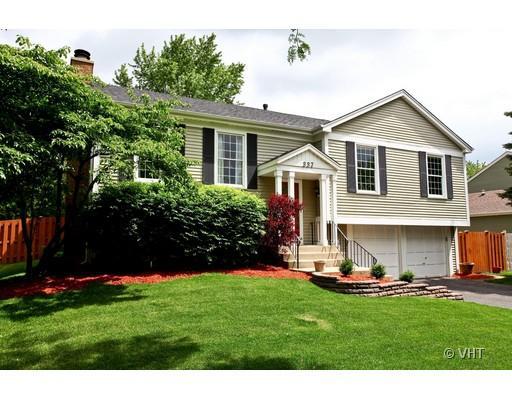 337 Meadow Green Dr., Naperville, IL 60565