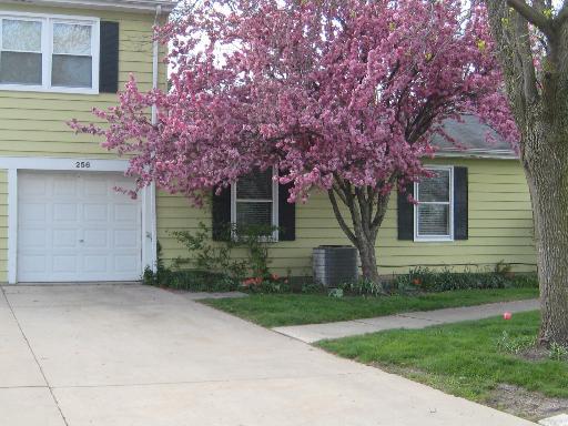[Address Hidden by Seller], Vernon Hills, IL 60061