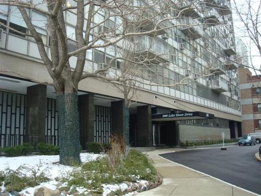1000 N Lake Shore Dr. #305, Chicago, IL 60611