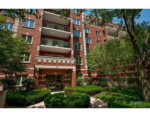 5000 Oakton St. #408, Skokie, IL 60077