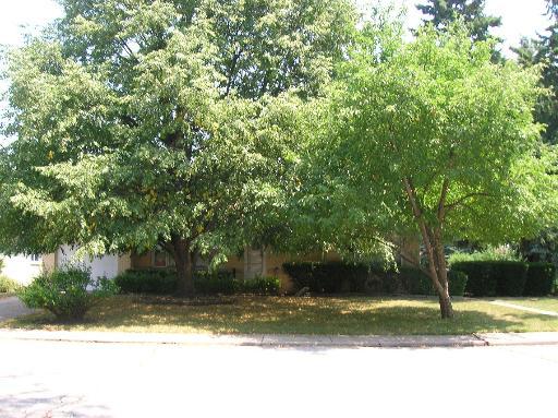 7641 N Kedvale Ave., Skokie, IL 60076