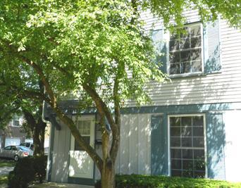 1675 Monticello Ct. #E, Wheaton, IL 60187