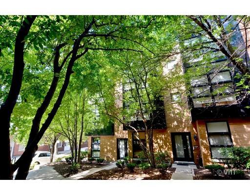 2050 W Willow St. #E, Chicago, IL 60647